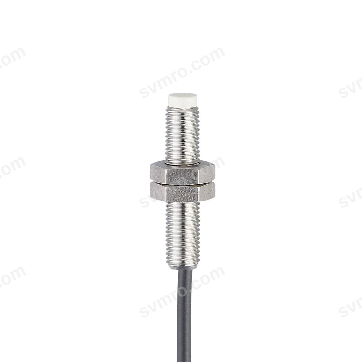 IE5302