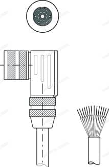 50106977