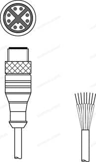 50137381
