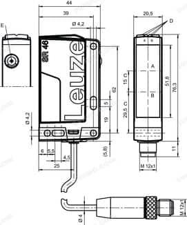 50129753